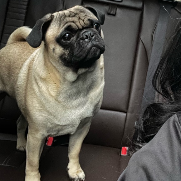 Meet your Posher, Jessica - Picture 1 of 1